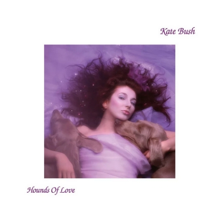 Hounds of Love